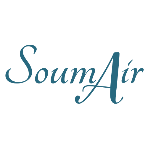 SoumAir Travels Blue Logo