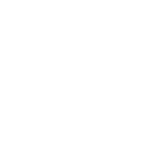 SoumAir Travels White Logo